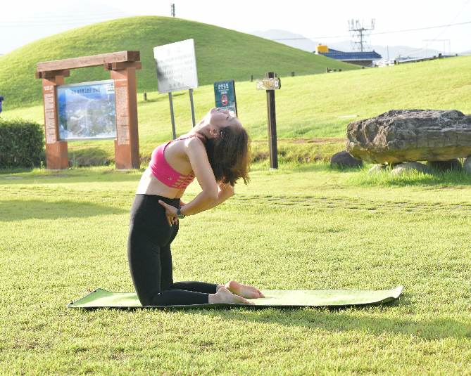 담당강사 표형선 프로필 사진
