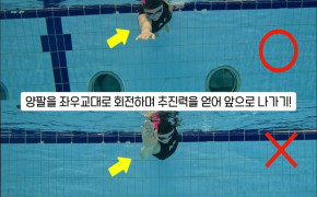 (건강+행복) 창원시설공단 '수영 영법(자유형)' 동영상 아래 숨김 텍스트로 제공