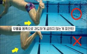 (건강+행복) 창원시설공단 '수영 영법(평영)' 동영상 아래 숨김 텍스트로 제공