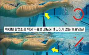 창원시설공단 '수영 영법(접영)' 동영상 아래 숨김 텍스트로 제공
