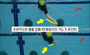 (건강+행복) 창원시설공단 '수영 영법(배영)' 동영상 아래 숨김 텍스트로 제공
