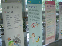 금주 패널 전시 게시물 미리보기 사진