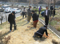 푸른창원 만들기 특강 및 나무심기 행사