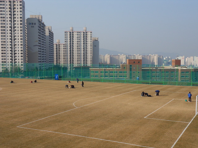 창원축구센터 땀의현장!_2